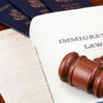 Immigration-Lawyer